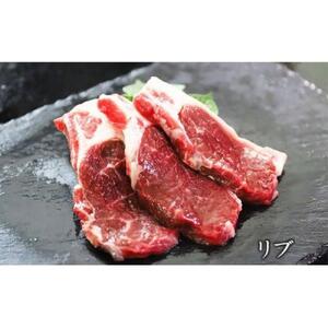 【先行予約/2026年2月以降発送】北海道産しべちゃサフォーク（羊肉）生ラム　食べ比べセット300g（リブカタロース・カルビ・モモ各100g）　ラム
