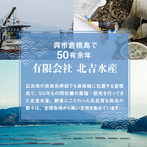 北吉水産 冷凍かきづくし　国産 お惣菜 カキ 牡蠣 簡単調理 大粒 お取り寄せ グルメ ku004-002-r