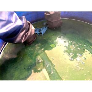 【SlowSunLife】藍染　蚊帳織ストール