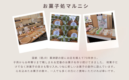 ダックワーズ ～木場潟湖 ～ 10個入 ダックワーズ