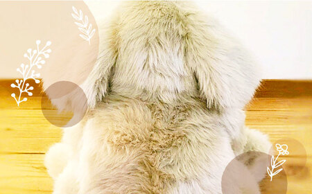 パトランミニ・ナチュラル 糸島市 / 科学工房未来 犬 ペット ぬいぐるみ [AYI007] いぬ 動物