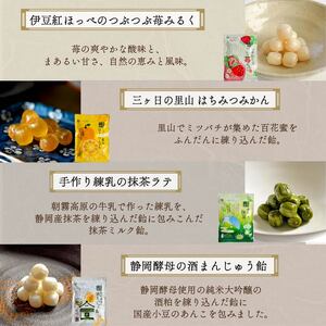 飴 10種 10袋 セット