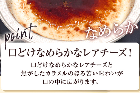 焦がしレアチーズ 9個セット スイーツ 洋菓子 チーズケーキ チーズ レアチーズ ケーキ カラメル 濃厚 おしゃれ 可愛い カップ カップケーキ 福岡県 福岡 九州 グルメ お取り寄せ