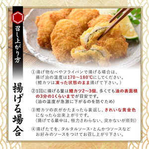 ハモカツ(計1.25kg・250g×5P) 鱧 はも 冷凍 惣菜 カツ 揚げるだけ フライ おかず 勝負めし 【101900700】【上野水産】