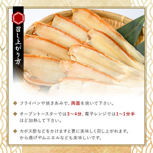 大分県産 舌ビラメ一夜干し(計約500g・3~5枚入×3袋) 魚介 ヒラメ 冷凍 一夜干し 甘塩 干物 勝負めし 【101900300】【上野水産】