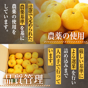 ＜先行予約受付中！2026年11月上旬以降順次発送予定＞柚子(約1.8kg)かんきつ 柑橘 期間限定 おもとの丘【111300601】【未来農林】