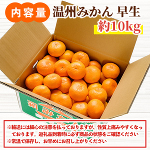 ＜先行予約受付中！1月上旬より順次発送予定＞数量限定 大分県宇佐市産 温州みかん(約10kg)みかん ミカン 蜜柑 柑橘 フルーツ 果物 くだもの 果実 国産【103620700】【井上農園】