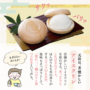 アイスもなか30個セット　お取り寄せ おやつ デザート スイーツ お土産 巴屋  ku067-001-r