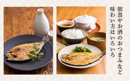 国産の天然塩と魚醤で味付けたニジマスの干物　3尾 TF0791-P00045