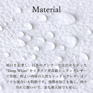 豊岡鞄 JETTER クラッチ CJTE-018 ホワイト