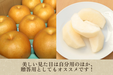 【2026年先行予約】和梨 新高 3kg（5～6玉）《10月上旬から順次発送》 果物 なし にいたか 梨 フルーツ 新鮮 ジューシー 産地 加茂市 樋口農園