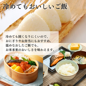 米 【令和7年産】 新潟県上越産 特別栽培米 新之助 【無洗米】 5kg 5キロ お米 こめ 白米 食品 人気 おすすめ にいがた 上越 上越産