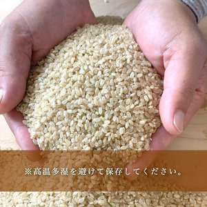 令和7年産 自然栽培米 コシヒカリ 4kg（白米2kg・玄米2kg）