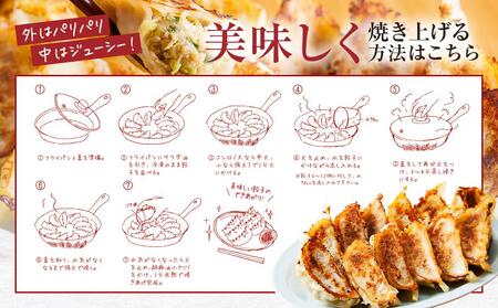 飛騨牛&飛騨豚 冷凍餃子食べくらべ3箱セット（にんにく味・しょうが味・飛騨豚 各1箱）NL001|高山市 36個 ギョーザ