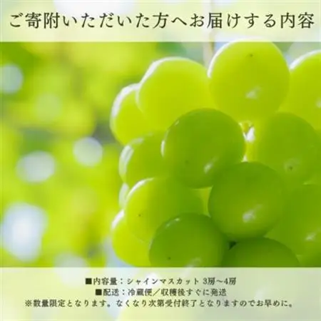 【2026年発送】ご家庭用シャインマスカット 3房～4房1.1kg以上 山梨県 山梨市産【配送不可地域：離島】【1535964】