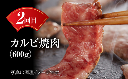 【定期便】飛騨牛 全3回 計1.6kg 飛騨牛 [MZ101]