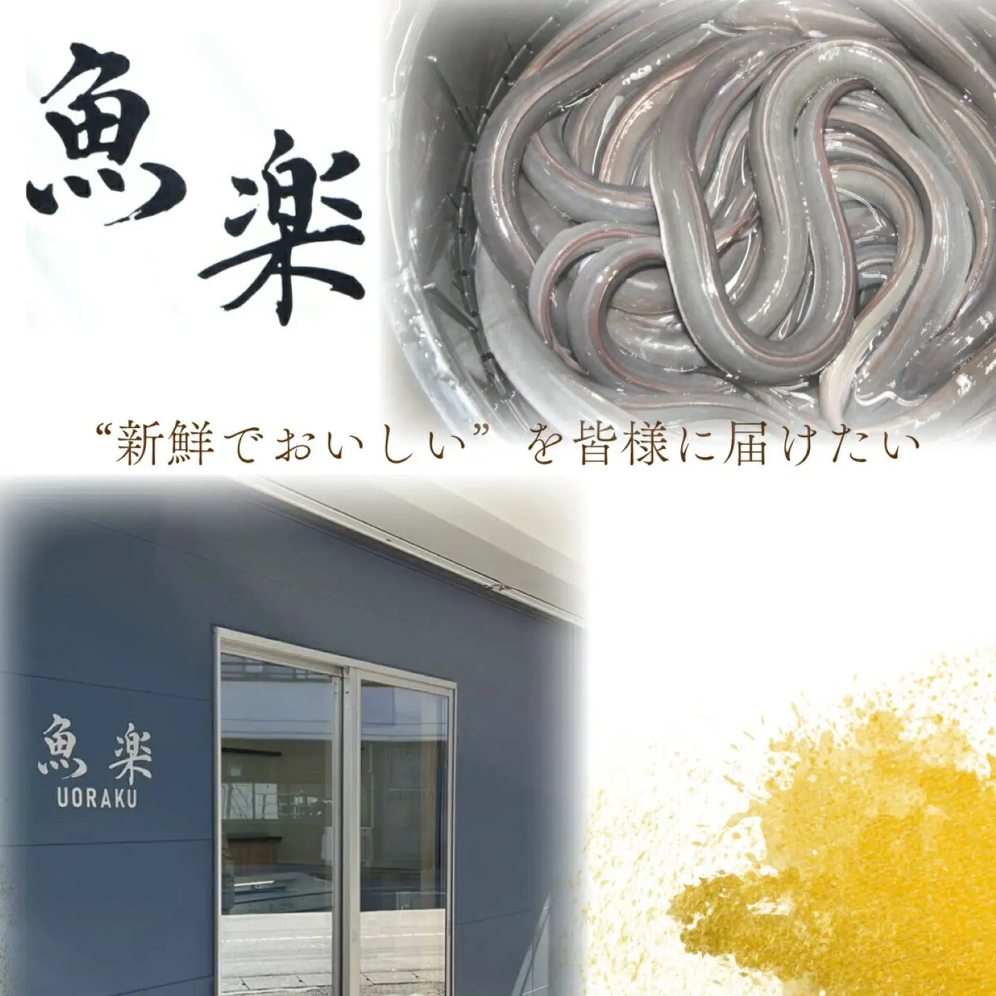 うなぎの蒲焼（半カット）2尾　380g以上 うなぎ ウナギ 鰻 かば焼き 蒲焼 冷凍 タレ うな重 うな丼 おすすめ 山椒　国産うなぎ