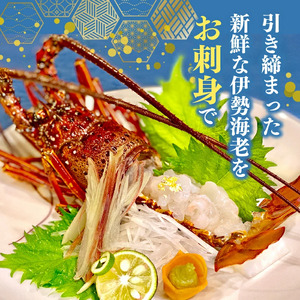 【 伊勢海老 】 伊勢海老700g以上