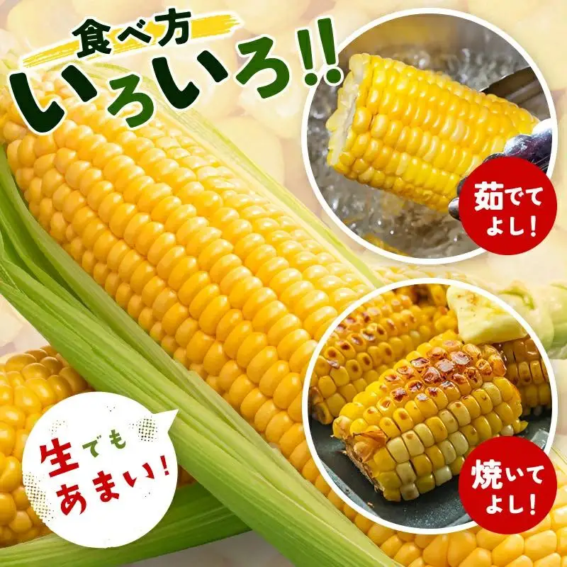 【先行予約】スイートコーン『ゴールドラッシュ』約7kg（18～22本） 西都市産とうもろこし＜18-2a＞★