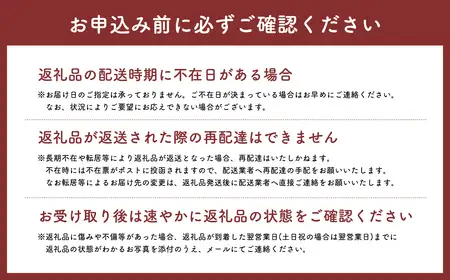 【レビューキャンペーン】2026年産 １１月～１月発送　贈答用王林10ｋｇ　【そと川りんご園・１１月・１２月・１月・青森県産・平川市・りんご・王林・10ｋｇ・贈答用】りんご リンゴ 林檎 りんご 青森 平川市産 [hi-0053-046]