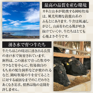 【カネ吉山本】近江牛　A4等級以上　すき焼き用　[上]　（600ｇ）｜野洲市 近江牛 A4等級以上 すき焼き用 滋賀県産 ギフト お取り寄せ 通販 お肉 贈り物 ふるさと納税｜
