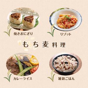 近江のもち麦１kg３袋｜野洲市 もち麦 滋賀産 健康食材 ダイエット ビタミン ミネラル 便秘解消 腸内環境 美容 健康志向 料理 レシピ お取り寄せ 通販 ふるさと納税 ｜
