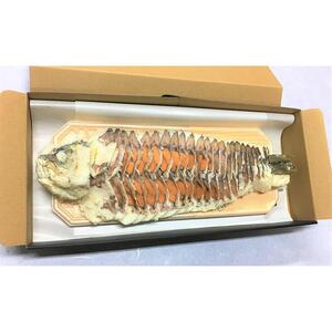 ふなずし めす700ｇ