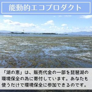 植物由来100％ 天然土壌菌入りオーガニック肥料 湖の恵 追肥用　添加タイプ 600ml×3袋