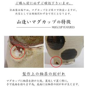 信楽焼 山逢いシリーズ 丸紋様マグカップ