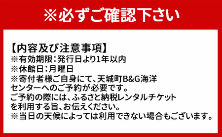 徳之島 天城町 与名間ビーチ ペアカヤック レンタルチケット マリンアクティビティ