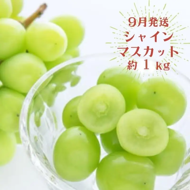【3か月定期便】夏のいいとこどりフルーツ定期便♪桃・ピオーネ・シャインマスカット【tkb360】