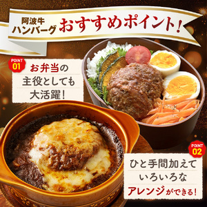 ハンバーグ 10個 合い挽き 阿波牛使用 ハンバーグ