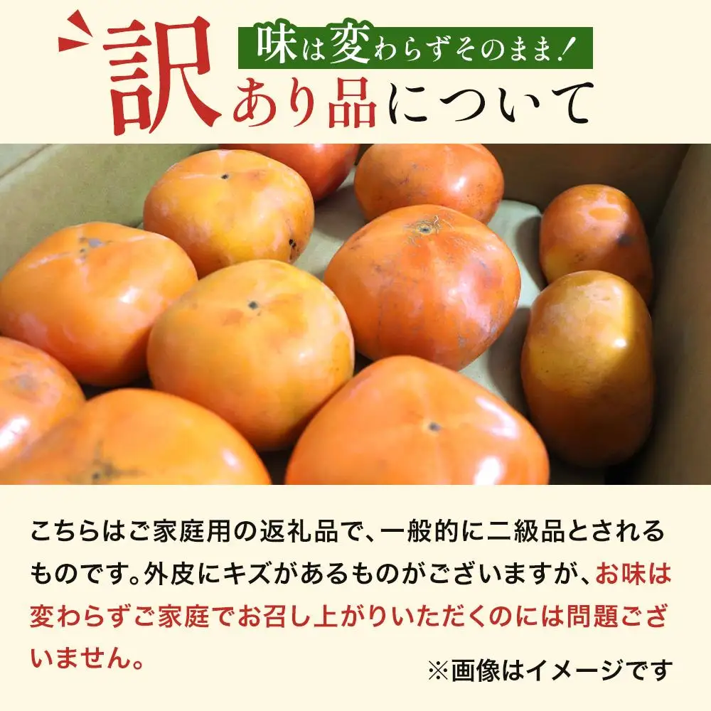 和歌山県産 訳あり 平核無柿 7.5kg L ~ 2L たねなし柿 ［2026年10月上旬～発送］