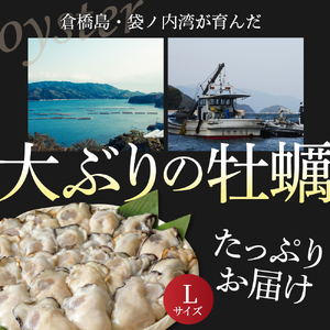 北吉水産 広島県産 冷凍 かき Lサイズ 1kg 大粒 自社ブランド 牡蠣 カキ 急速冷凍 バラ冷凍 新鮮 美味しい 殻むき不要 小分け 便利 アレンジいろいろ カキフライに 広島県 呉市 ku004-005-rr