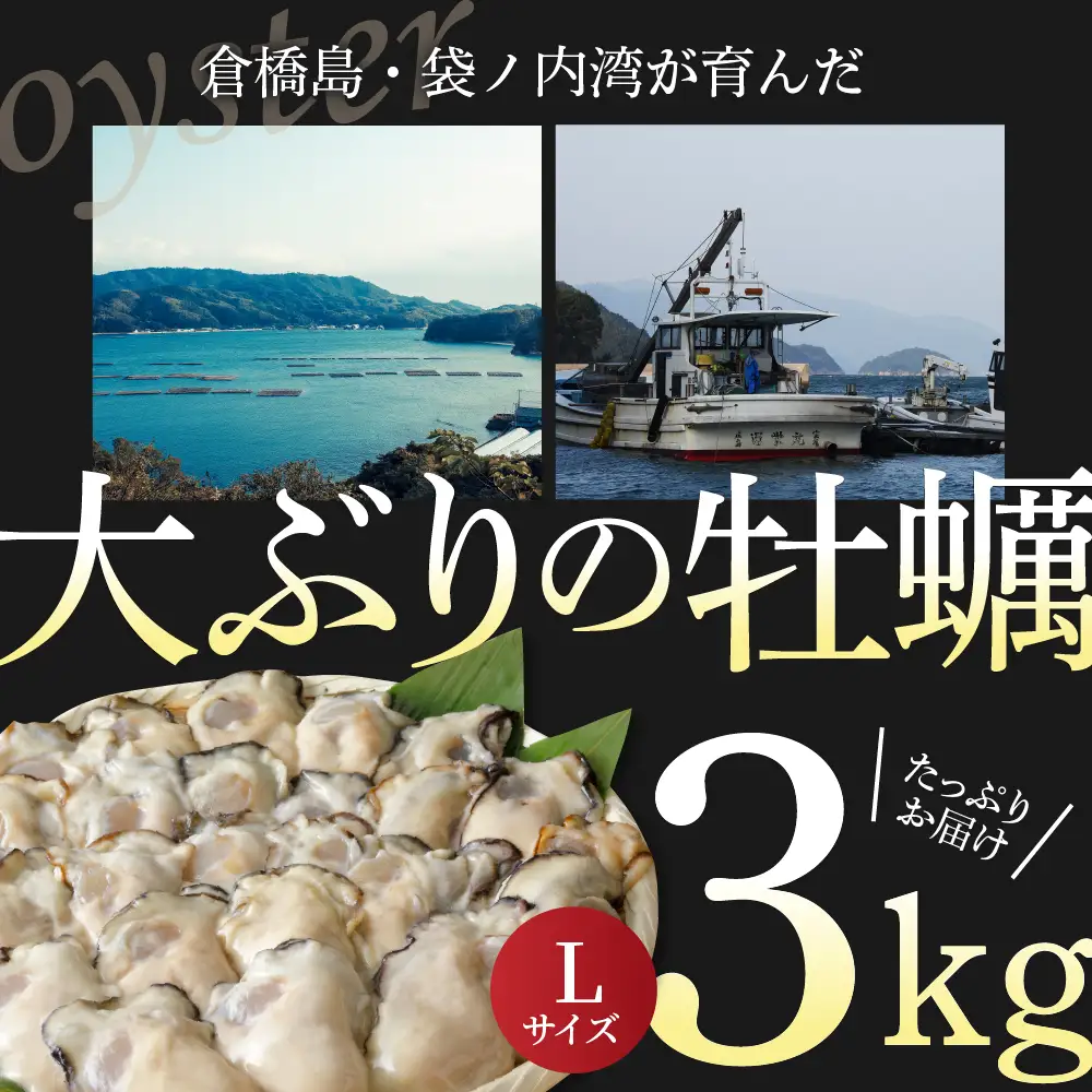 北吉水産 広島県産 冷凍 かき Lサイズ 3kg（1kg×3袋） 大粒 自社ブランド 牡蠣 カキ 急速冷凍 バラ冷凍 新鮮 美味しい 殻むき不要 小分け 便利 アレンジいろいろ カキフライに 広島県 呉市 ku004-006-rr