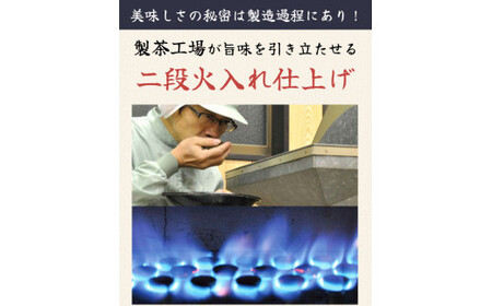深蒸し特上煎茶 はつ緑 100g×2袋 セット 計200g お茶 茶 深蒸し茶 煎茶 ギフト プレゼント 八十八夜摘み 静岡県産 静岡県 菊川市
