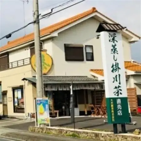 一番茶100%使用　世界農業遺産　茶草場農法　茶のみやきんじろう深蒸し掛川茶　8本セット【配送不可地域：離島・沖縄県】【1661984】
