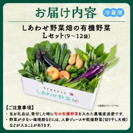しあわせ野菜畑の有機野菜　Lセット　(安心の有機JAS認証　旬のオーガニック野菜　農場直送便)【配送不可地域：離島・北海道・沖縄県・四国・九州】【1493216】