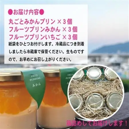〔伊東温泉で人気〕フルーツプリンセット9個入_菓子・スイーツ プリン  _【配送不可地域：離島】【1538919】