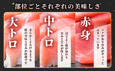 【訳あり】国産 生本まぐろ 切落し 200g（冷蔵）【大トロ 中トロ トロ 赤身 食べ比べ 海鮮 刺身 冷蔵 不揃い お取り寄せ グルメ】 [e04-a114]