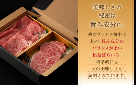 【全12回定期便】長崎和牛出島ばらいろ 特選ローススライス 約350g ＆ サーロインステーキ 約250g[RCI044] 長崎和牛 ロース サーロイン 長崎和牛 ロース サーロイン九州 長崎