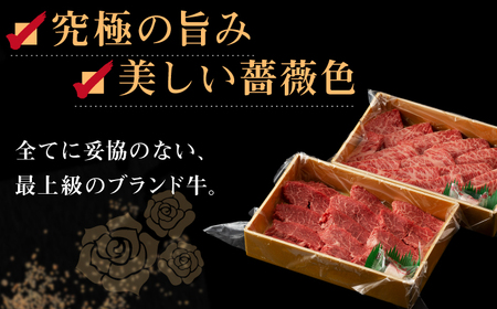【全12回定期便】長崎和牛出島ばらいろ 特選焼肉セット（ロース カルビ カタロース モモ のいずれか2種類）約300g×2[RCI048] 長崎和牛 焼肉 長崎和牛 焼肉九州 長崎