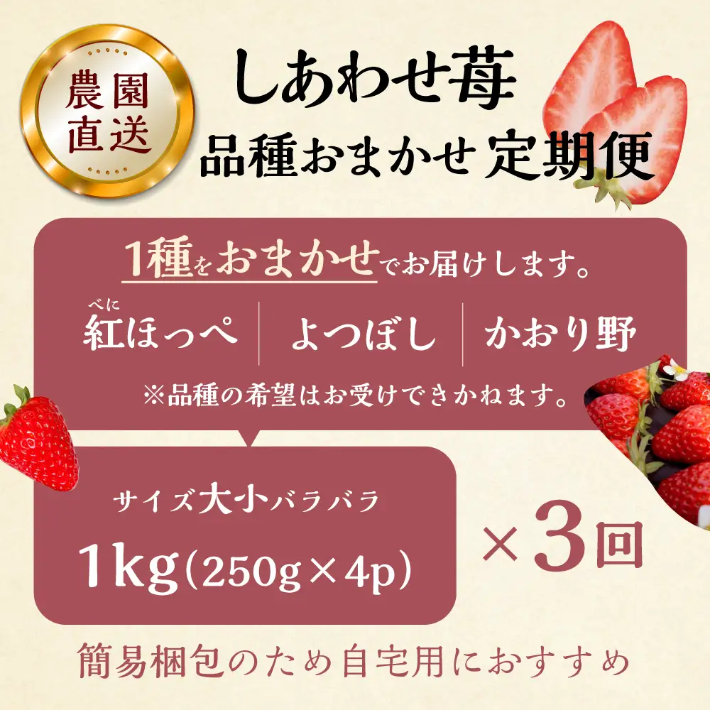 【定期便3回】【2027年1月より発送開始】自宅用 いちご 品種おまかせ 1kg (250g × 4p ）3か月 3回 ｜品種おまかせ （紅ほっぺ/よつぼし/かおり野） フルーツ 果物 苺 イチゴ しあわせ苺 サイズ バラバラ 訳あり 訳アリ 含む 農園直送 人気 国産 岐阜県 本巣市 2027年 先行予約 45000円 family農園watanabe [mt1307]