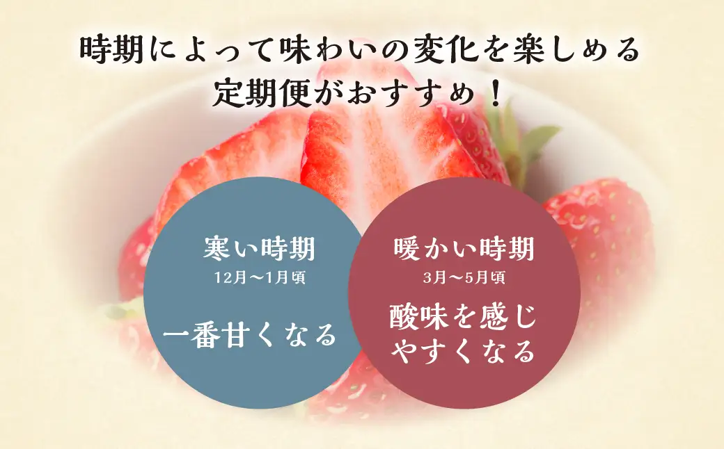 【定期便5回】【2027年1月より発送開始】 いちご贅沢 定期便 5回 紅ほっぺ 1kg ( 250g × 4p ) しあわせ苺 サイズ バラバラ 訳あり 訳アリ 含む 農園直送 フルーツ 苺 イチゴ 人気 本巣市 果物 先行予約 family農園watanabe [mt526_26] family農園watanabe
