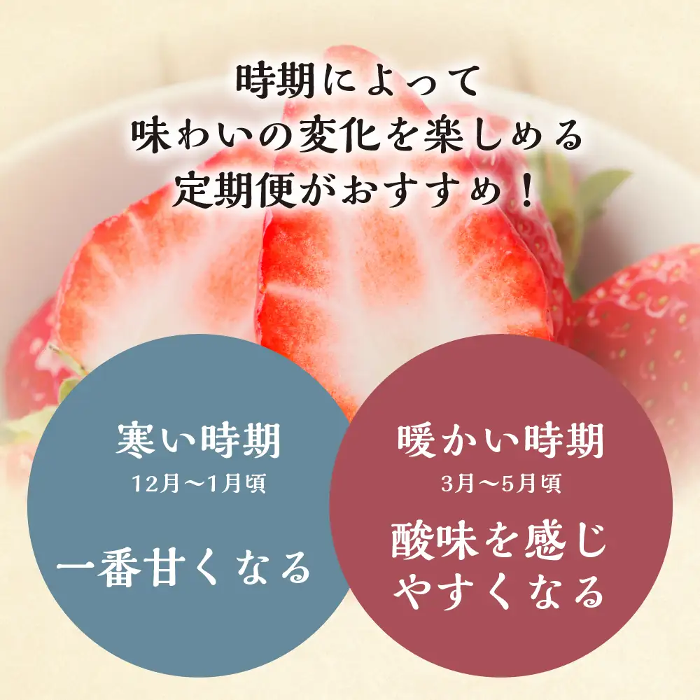 【定期便3回】【2027年1月より発送開始】いちご贅沢 紅ほっぺ 1kg ( 250g × 4p ) しあわせ苺 サイズ バラバラ 訳あり 訳アリ 含む 農園直送 フルーツ 苺 イチゴ 人気 本巣市 果物 先行予約 family農園watanabe [mt211] 