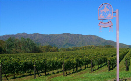 鶴沼収穫ワイン 【スペシャルキュヴェ ツヴァイゲルト】 赤ワイン 2本セット 計1500ml（750ml×2本） アルコール11.5％-12.5％ お酒 酒 ワイン 熟成 セット