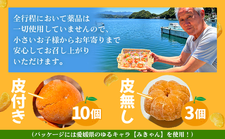 ＜【訳あり】冷凍みきゃんセット みきゃん盛り（皮付き10個・皮無し3個）＞ ミカン 温州みかん 柑橘 果物 フルーツ デザート 詰合せ 特産品 渡江から一歩を踏み出す会 食べて応援 愛媛県 西予市【冷凍】『2026年5月から順次出荷予定』ATI0033