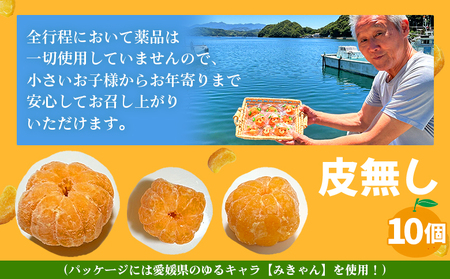 ＜【訳あり】冷凍みきゃんセット みきゃん盛り（皮無し10個）＞ ミカン 温州みかん 柑橘 果物 フルーツ デザート 詰合せ 特産品 渡江から一歩を踏み出す会 食べて応援 愛媛県 西予市【冷凍】『2026年5月から順次出荷予定』ATI0034