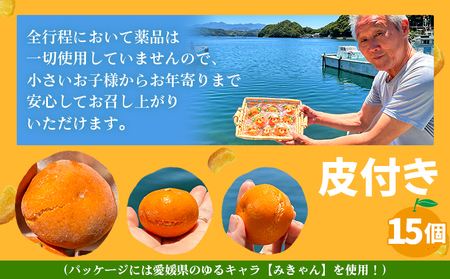 ＜【訳あり】冷凍みきゃんセット みきゃん盛り（皮付き15個）＞ ミカン 温州みかん 柑橘 果物 フルーツ デザート 詰合せ 特産品 渡江から一歩を踏み出す会 食べて応援 愛媛県 西予市【冷凍】『2026年5月から順次出荷予定』ATI0035