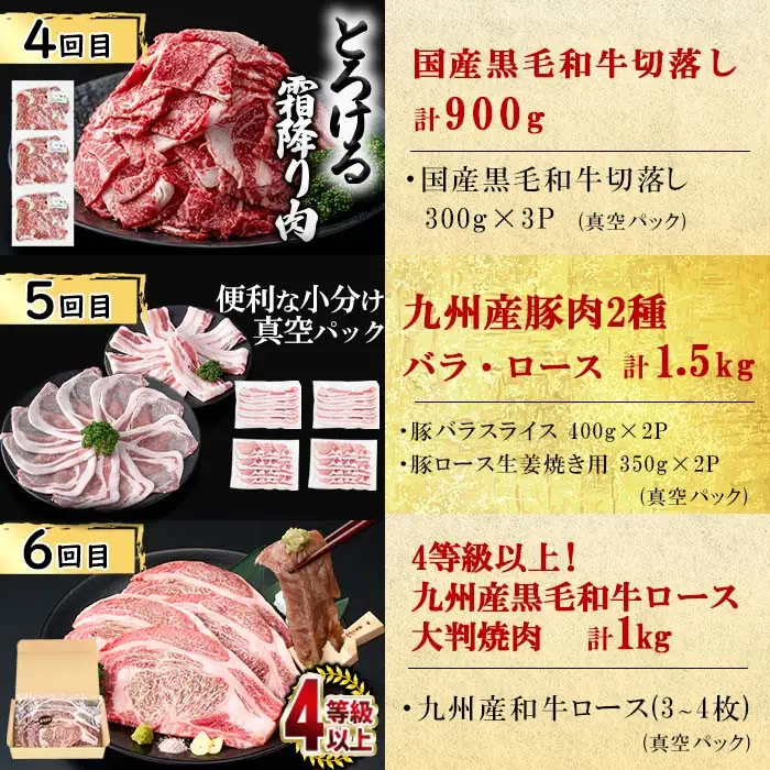 【定期便全6回】大満足！和牛・豚肉定期便(6ヶ月連続・総量8kg以上) 黒毛和牛 国産牛 九州産 豚 豚肉 肉 牛肉 国産 しゃぶしゃぶ 豚バラ 切り落し 大容量 人気 4等級 小分け 真空包装 t0079-001